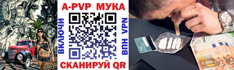A PVP СК КРИС  Нефтегорск 