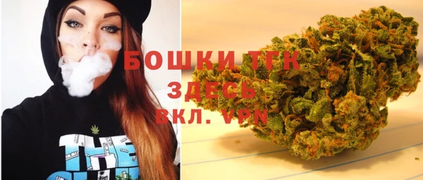 spice Алзамай