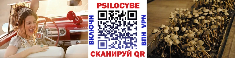 Псилоцибиновые грибы Psilocybine cubensis  магазин продажи   Нефтегорск 